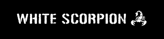 新アイドルグループ「WHITE SCORPION(ホワイト スコーピオン)」