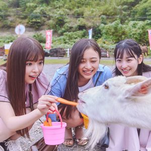 乃木坂46 5期生写真集『あの頃、乃木坂にいた』より、動物と触れ合う癒やしの牧場カット到着