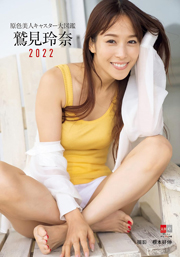 原色美人キャスター大図鑑 鷲見玲奈2022 (デジタル原色美女図鑑)