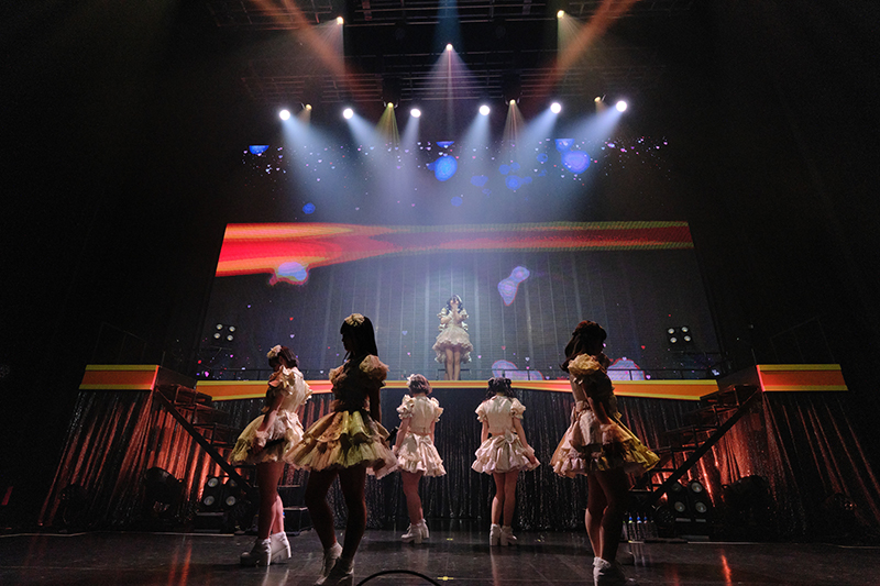テラス×テラス「3rd Anniversary Tour FINAL~世界で一番幸せになろうね~」より