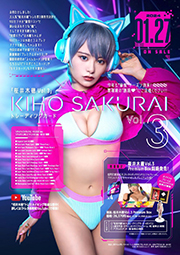 ヒッツ 「桜井木穂Vol.3 Premium Box」トレーディングカード 4BOX L版生写真+生キス入りオリジナルフレーム×1枚(※Photo5ver.) オリジナルアクリルスタンド×1個(※5ver.) 全131種類 紙製 特典カード付き