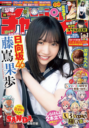 週刊少年チャンピオン2024年32号 [雑誌] Kindle版