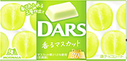 森永製菓 白いダース<香るマスカット> 12粒×10個