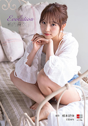 デジタル原色美女図鑑 新内眞衣 Evolution Kindle版