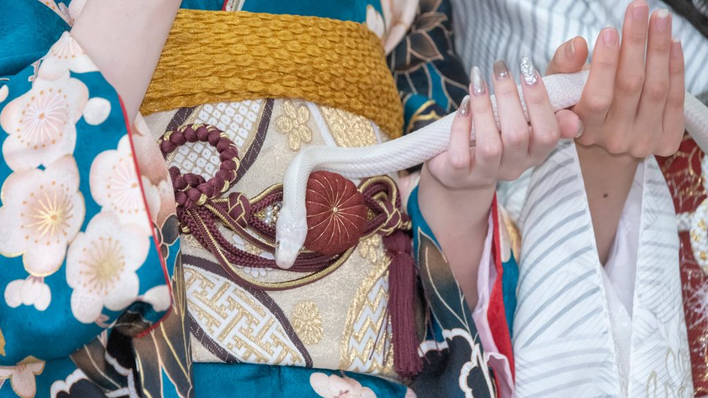 人間に換算して20歳という白蛇の“ハク”さんがサプライズゲストとして応援に駆けつけた