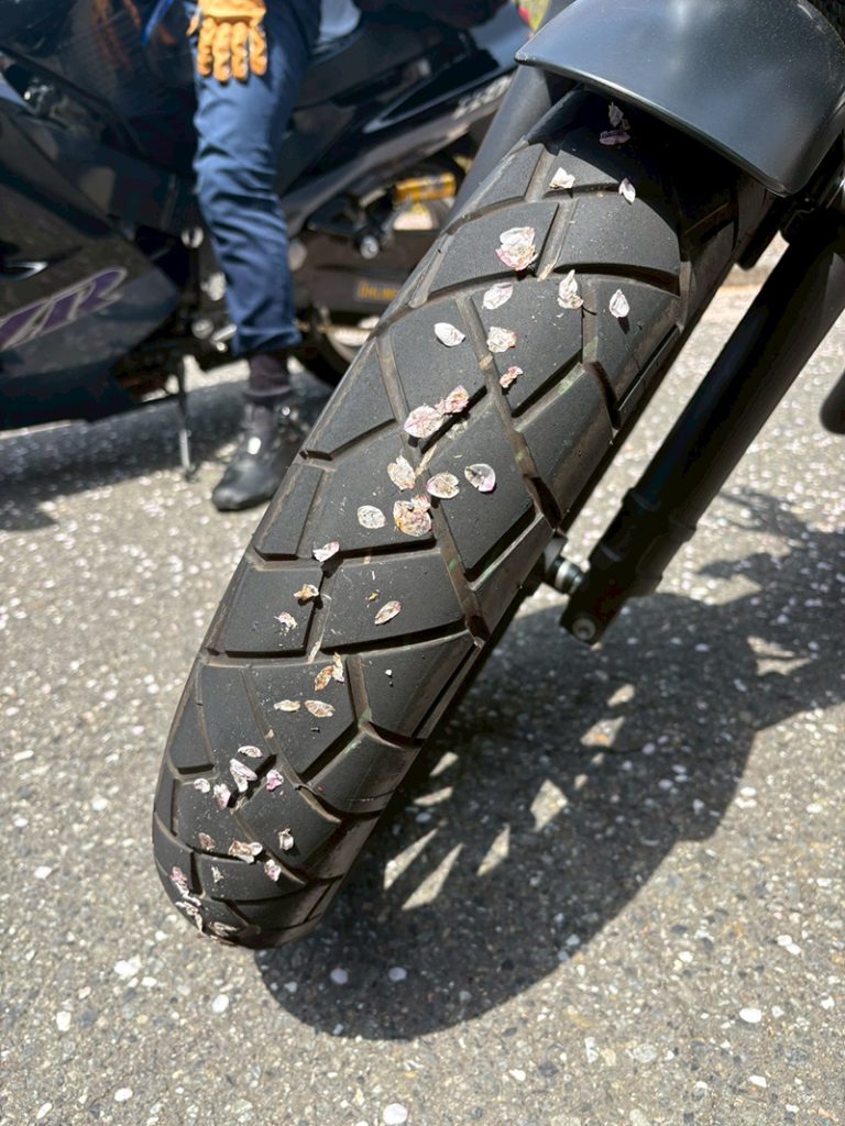 坂元誉梨の『初心者バイク女子の奮闘日記』#18
