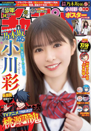 週刊少年チャンピオン2025年16号 [雑誌] Kindle版