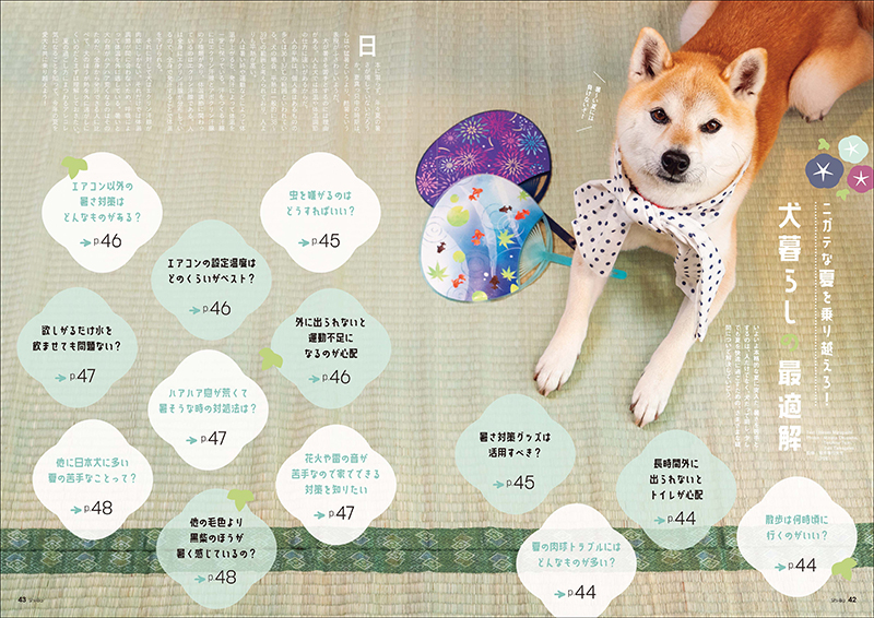 『Shi-Ba【シーバ】』2025年 夏号 Vol.136より