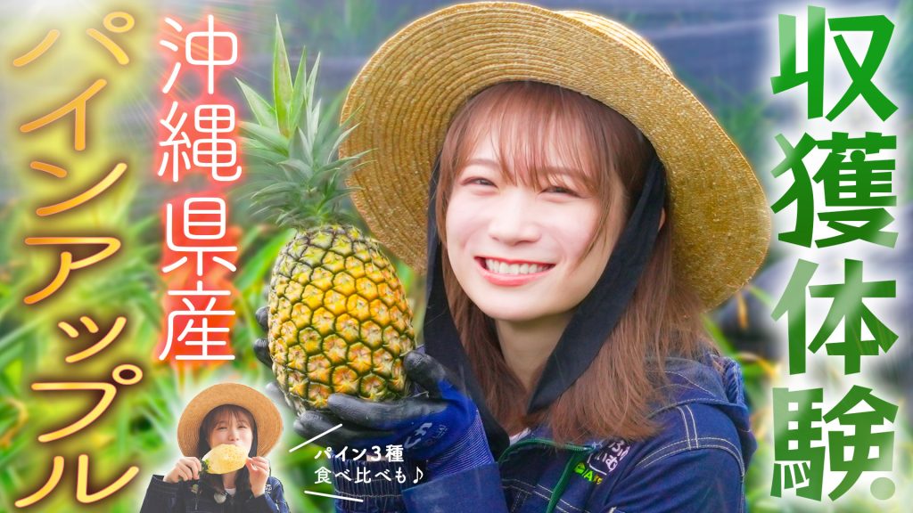 「JAタウン」オフィシャルサポーターを務めている秋元真夏