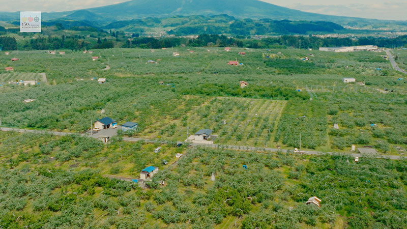 王林が出演するTVCM「青森りんご植栽150周年」篇より