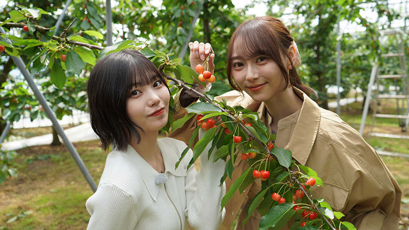 乃木坂46弓木奈於と中西アルノの『乃木坂、逃避行。』山形旅後編
