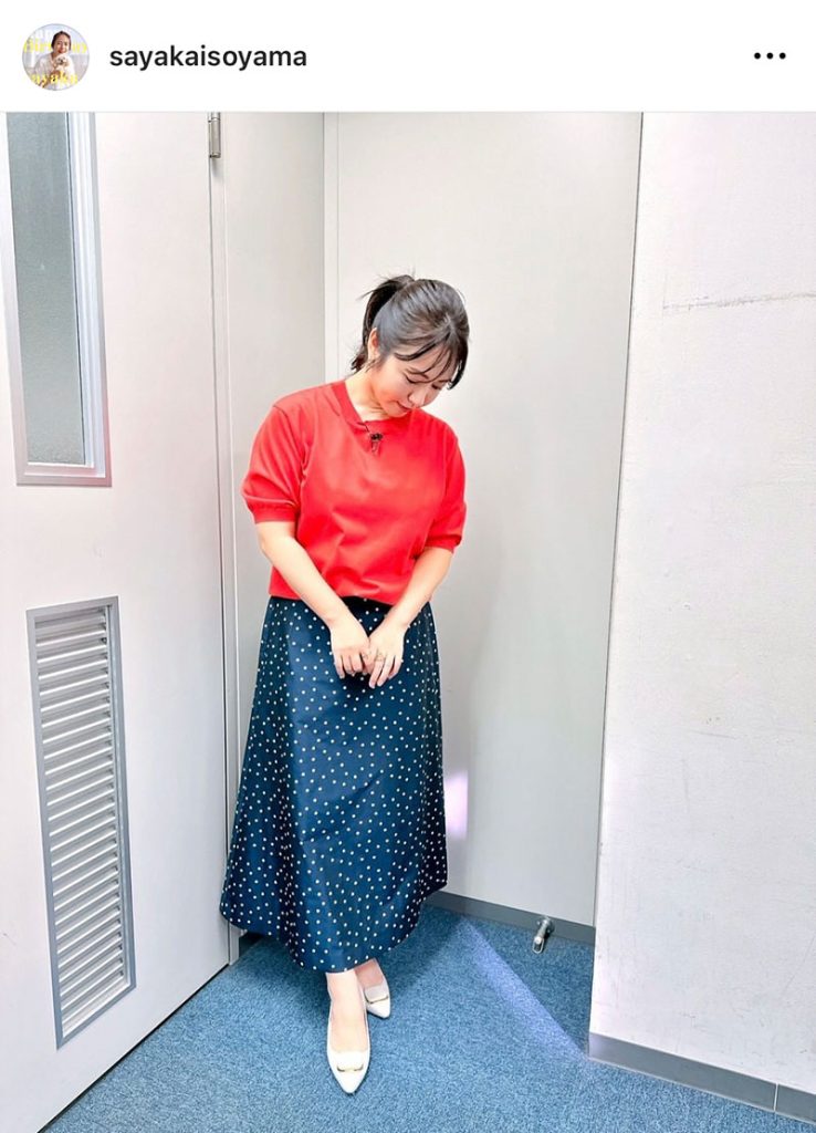 半袖ニット&ロングスカート姿の磯山さやか