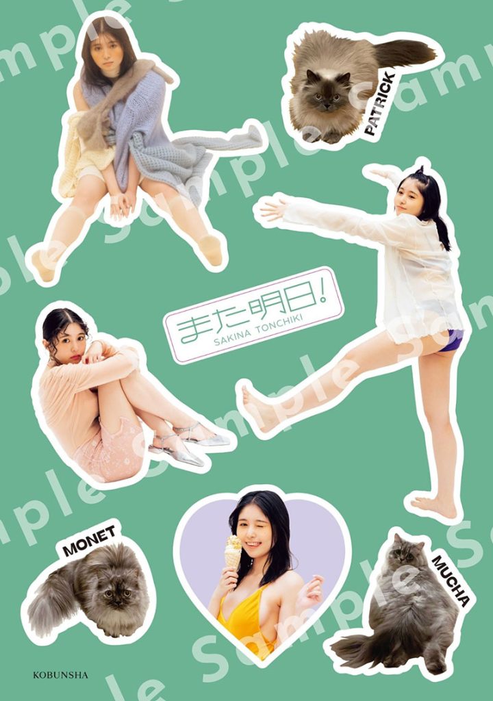 頓知気さきなフォトスタイルブック『また明日!』より「KOKODEブックス」限定特典・ステッカーシート