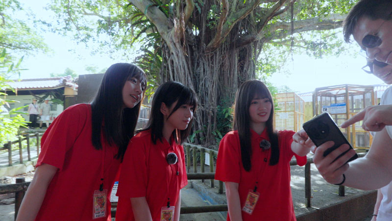 InstagramやTikTok、YouTubeなど乃木坂46のコンテンツを紹介し国際交流を図る3人