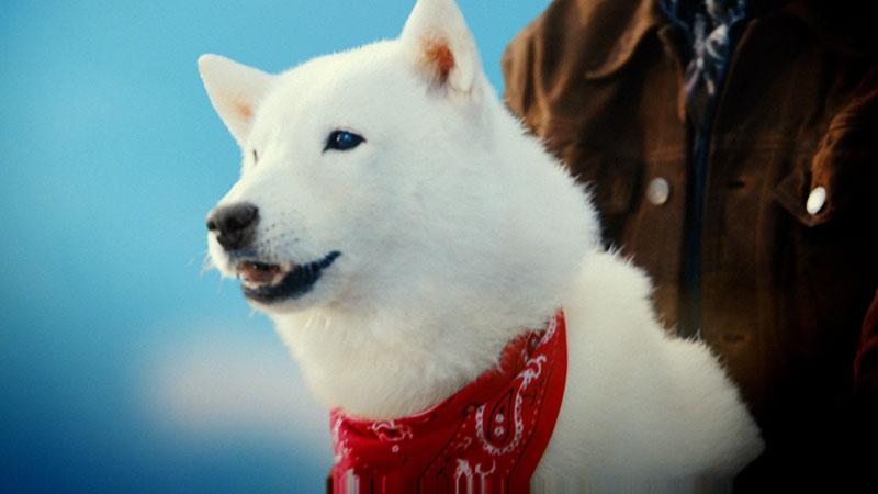 ソフトバンク株式会社新テレビCM「スマホデビュー祭」篇より