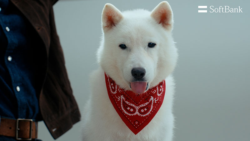 ソフトバンク株式会社新ウェブCM「スマホデビュー祭 お宅訪問」篇より