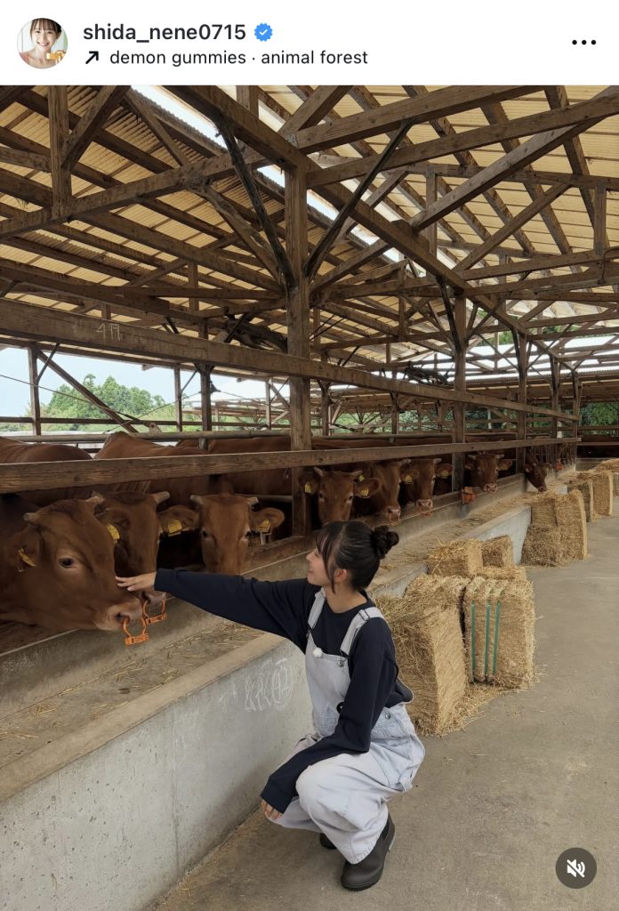 取材でくまもとあか牛の産地・熊本県を訪問