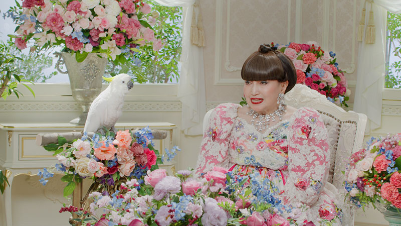 『徹子とオウム～欲しがるオウム篇～』2