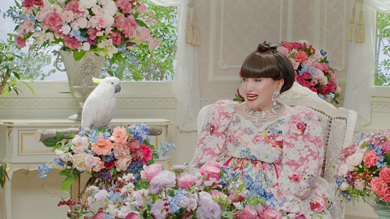 『徹子とオウム～欲しがるオウム篇～』1