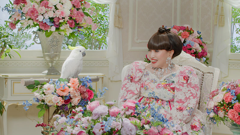 『徹子とオウム～欲しがる徹子篇～』1