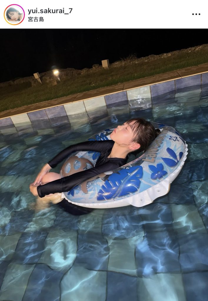 プールに浮かぶ姿がとてもかわいらしい