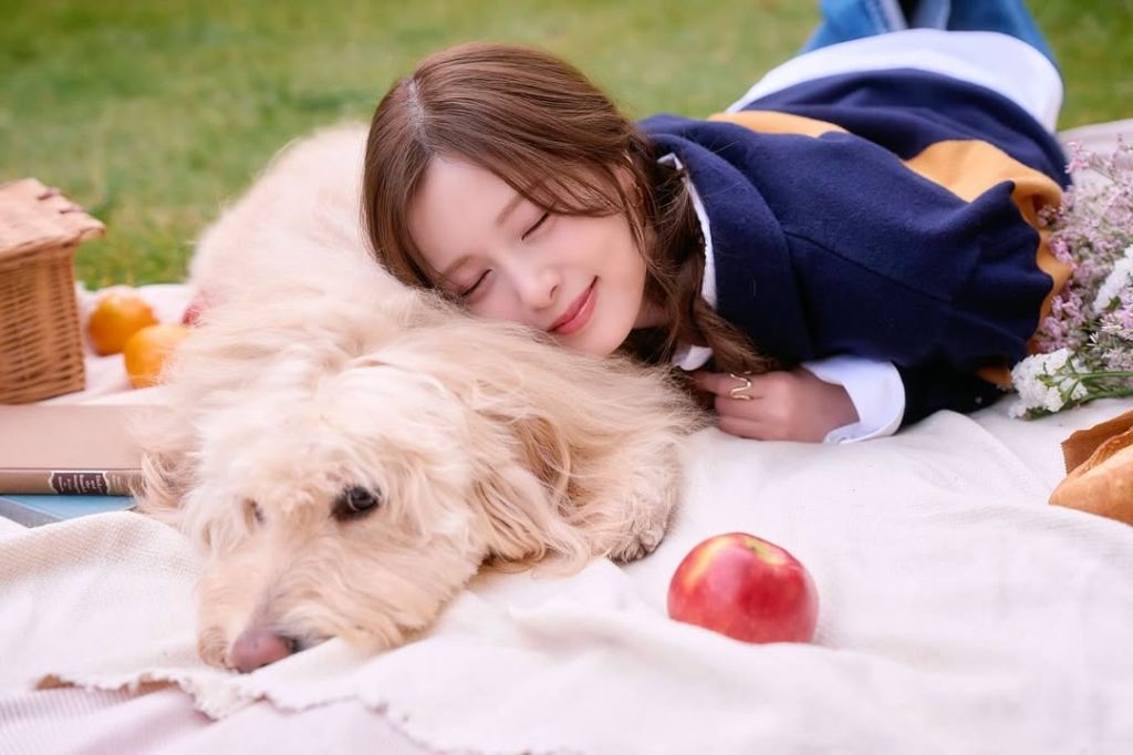 ※画像は白石麻衣オフィシャルInstagram(m.shiraishi.official)より