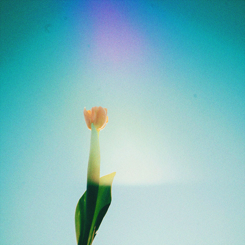 「魔法」ジャケット写真