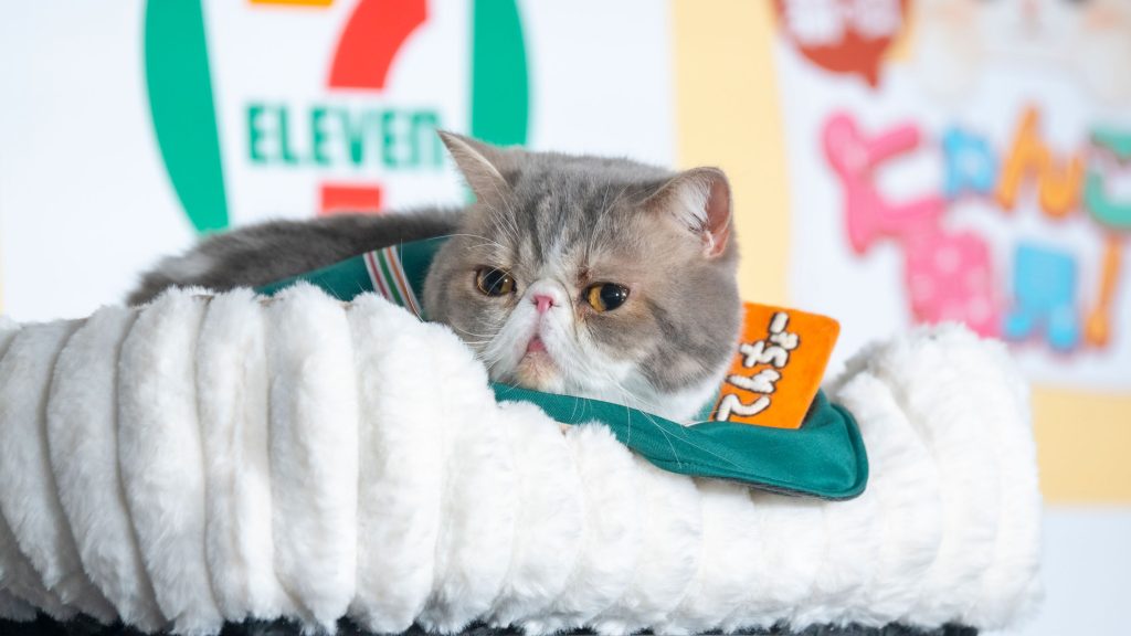セブン‐イレブン『にゃんこ発見！』新商品発表会に出席した“てんちょー”