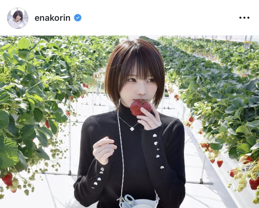 いちご狩りを楽しむ