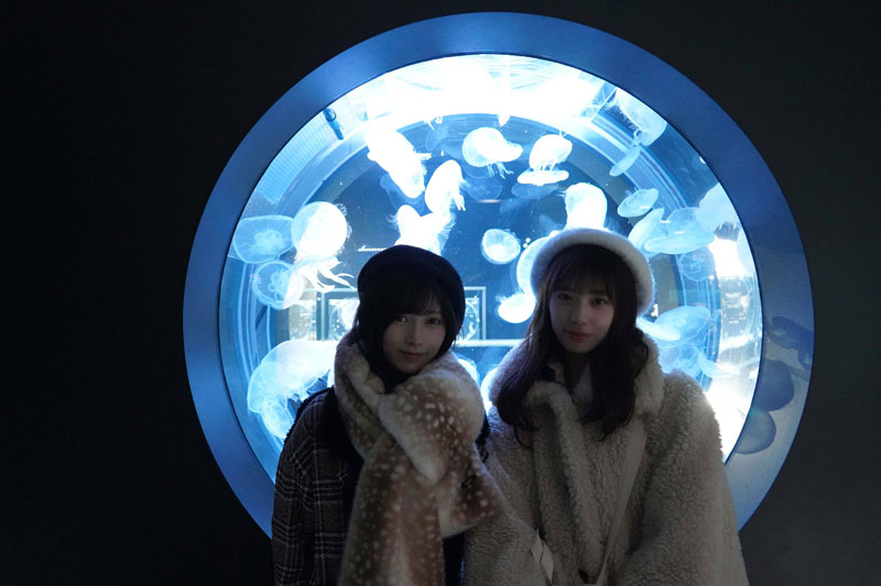 クラゲと一緒に記念撮影