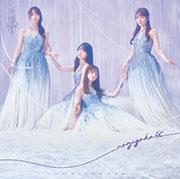 【Amazon.co.jp限定】乃木坂46 41stシングル『最後に階段を駆け上がったのはいつだ?』(Type-D)(メガジャケ付)