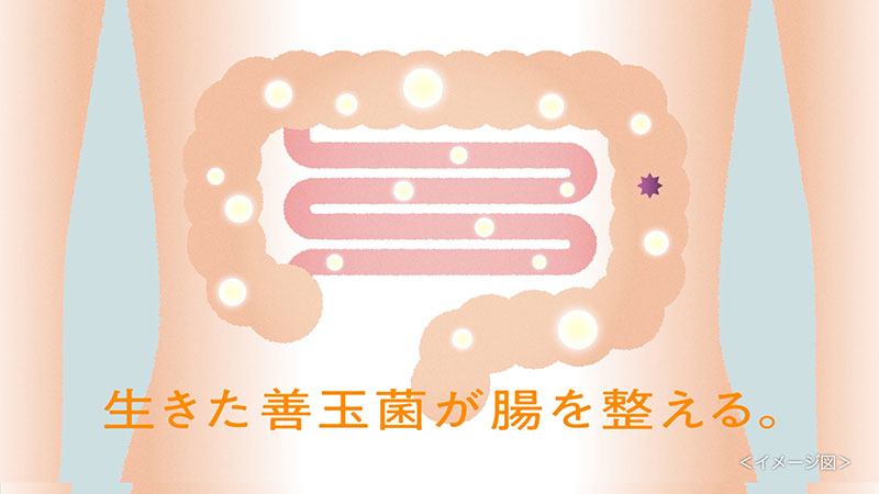 岡田将生が出演する『新ビオフェルミンS錠』の新CM「森のキッチン」篇より