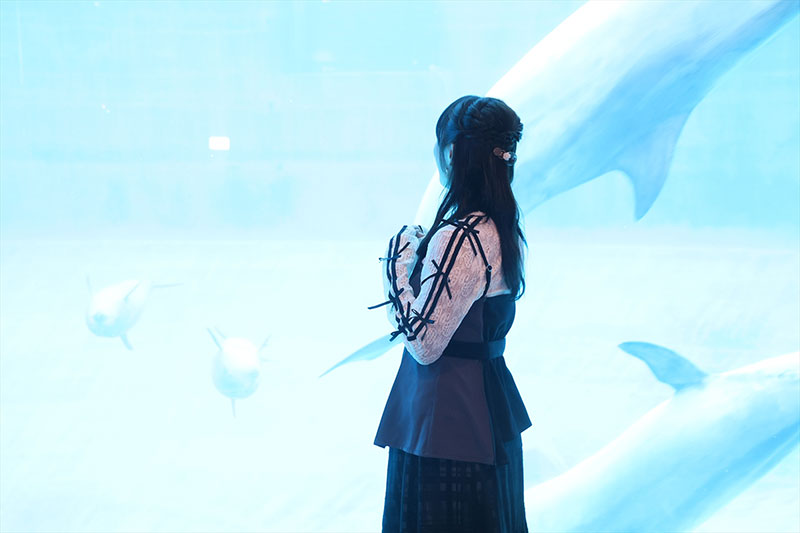 『水族館の達人に聞いてみた ~ぜったいに行きたくなる37の発見~』より