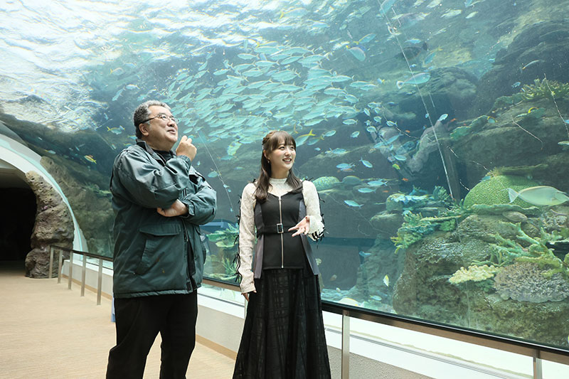 『水族館の達人に聞いてみた ~ぜったいに行きたくなる37の発見~』より