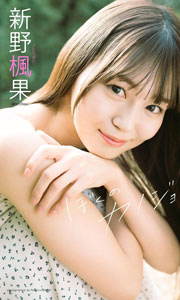 【デジタル限定】新野楓果写真集「ぼくのカノジョ」 (週プレ PHOTO BOOK)