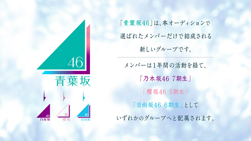 青葉坂46オーディション概要
